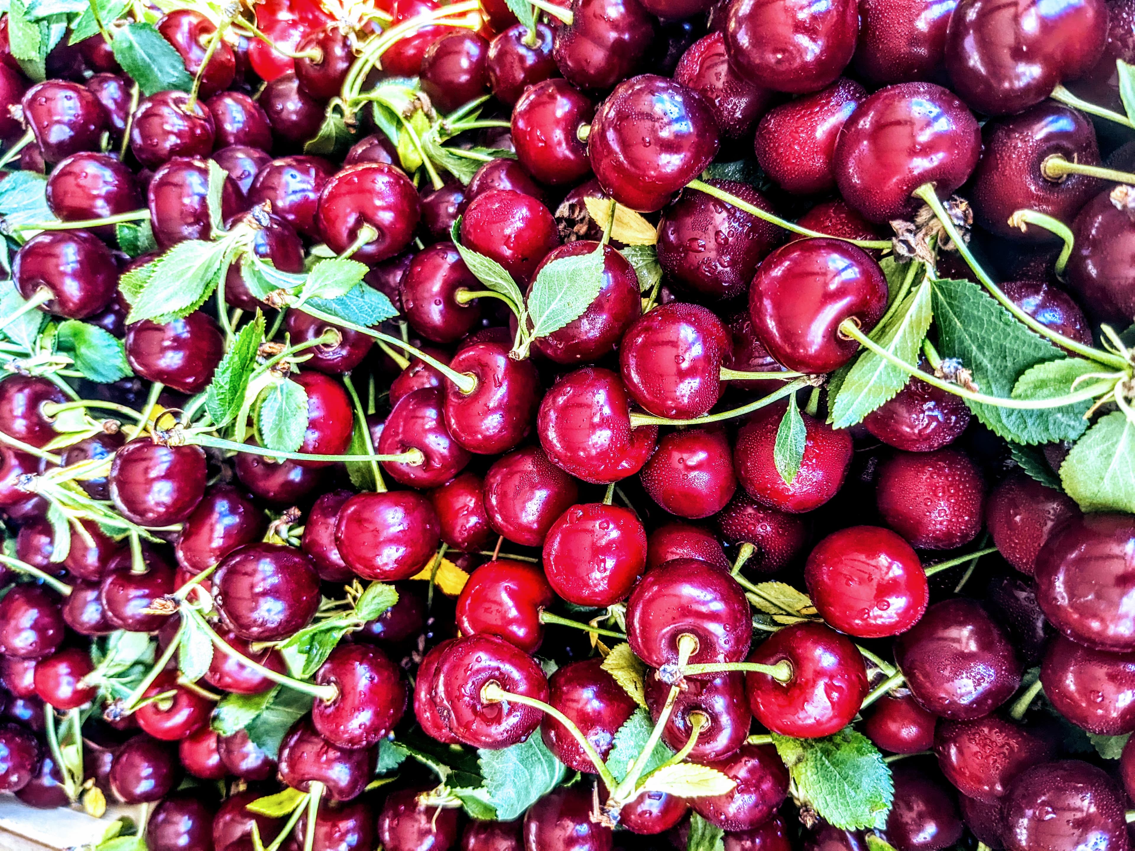 cherries by Food Fetishisten